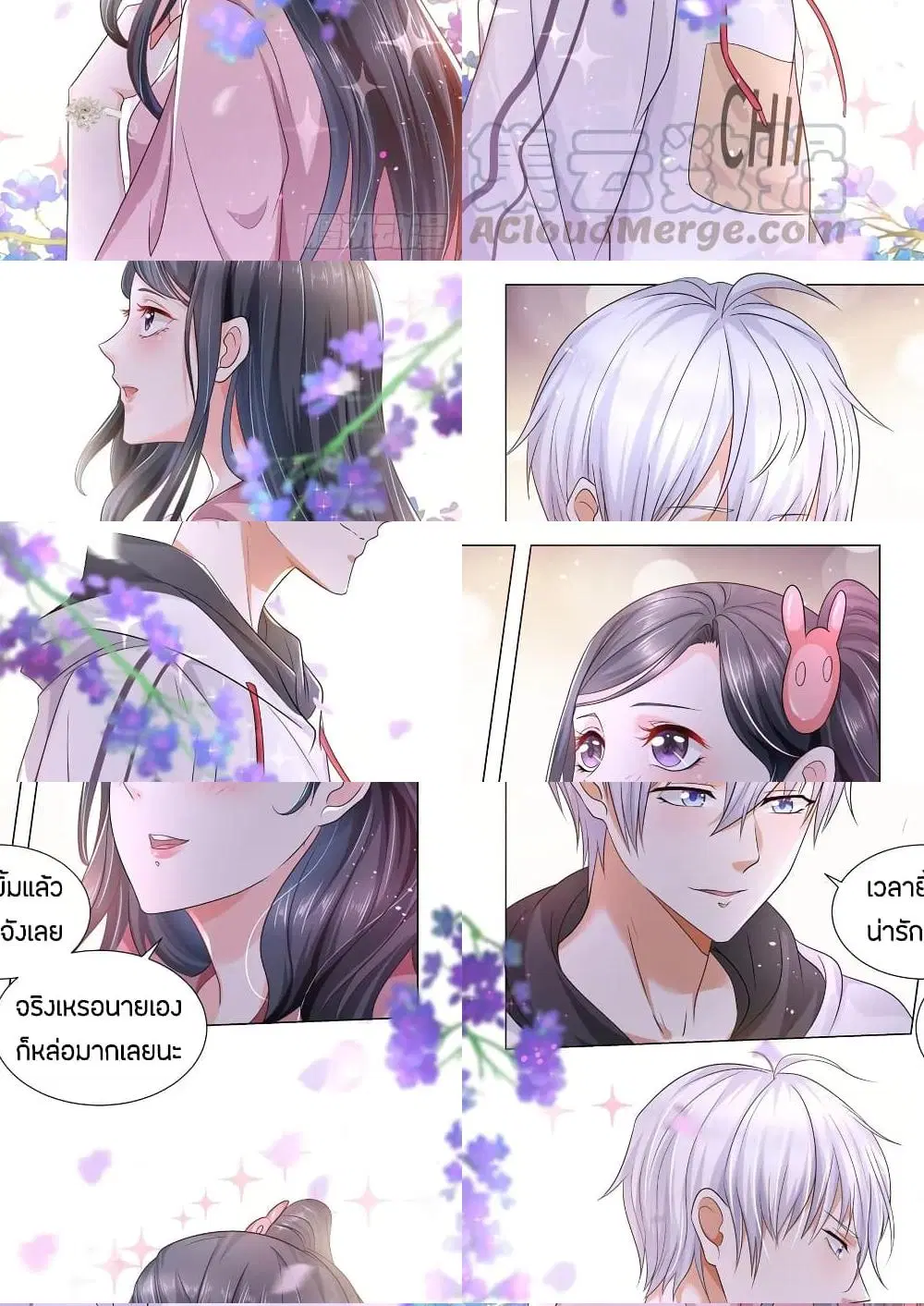 หน้า 3 จาก 11