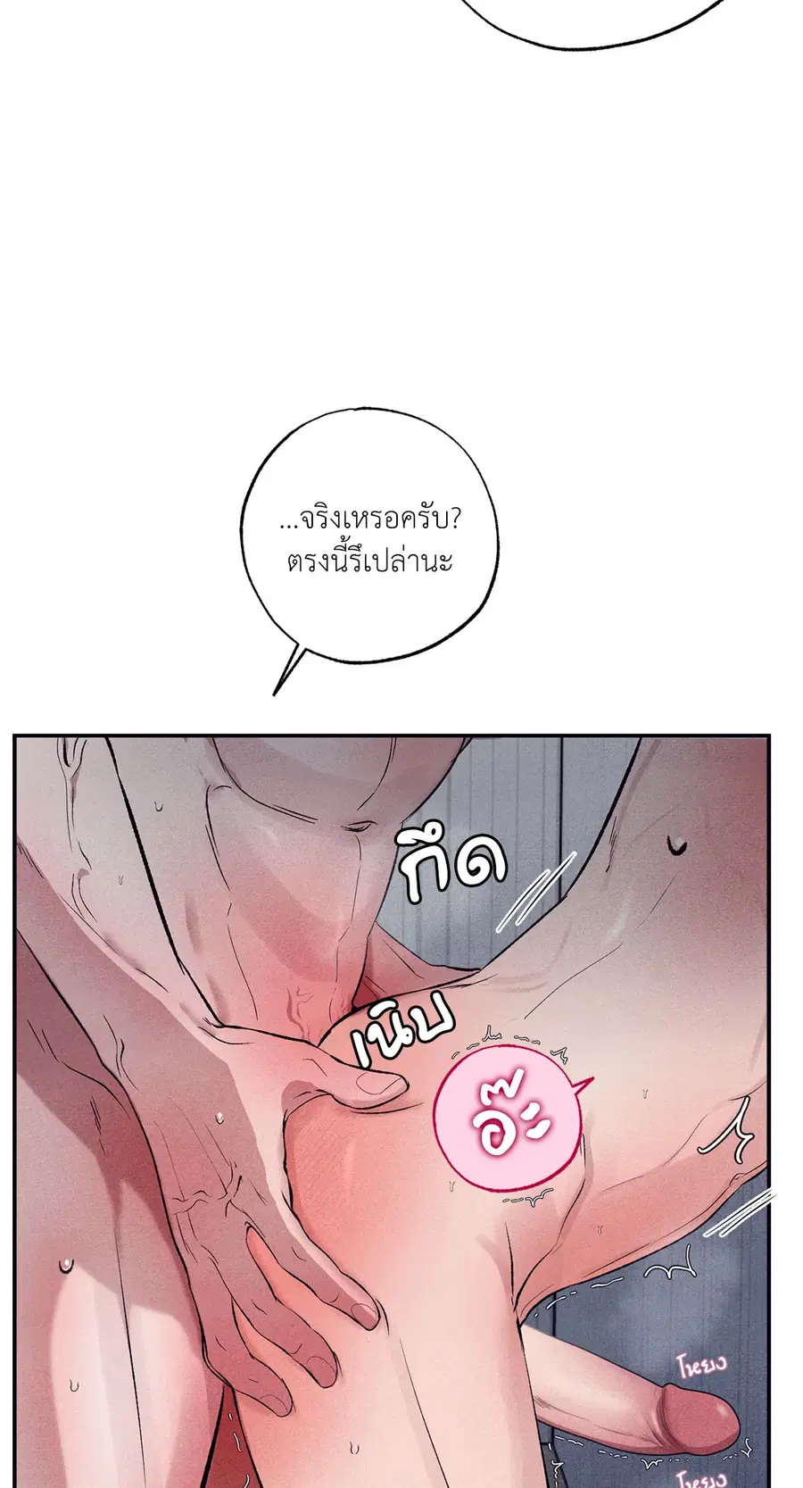 หน้า 28 จาก 77