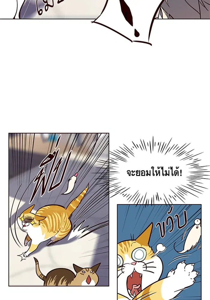 หน้า 35 จาก 90