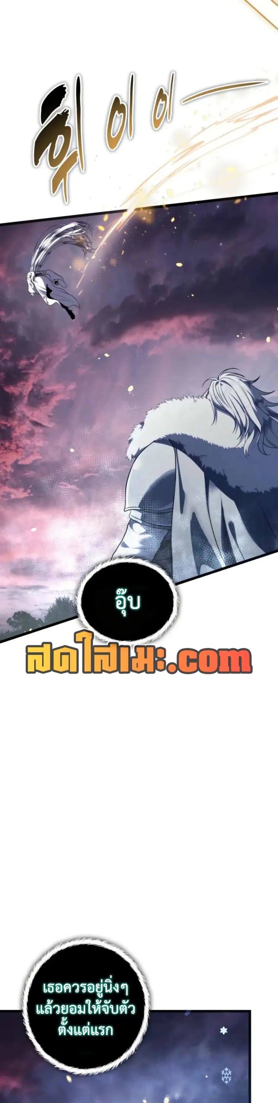 หน้า 19 จาก 50