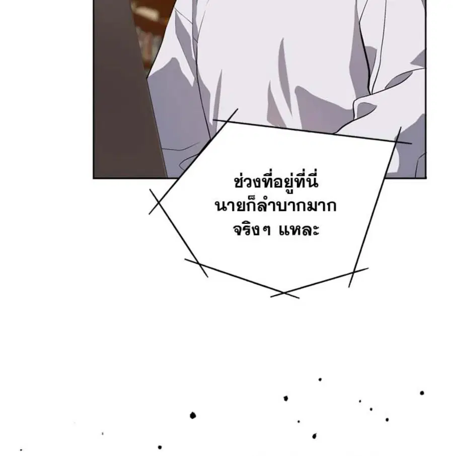 หน้า 42 จาก 146