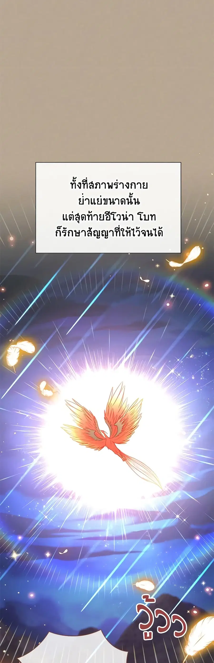 หน้า 28 จาก 51