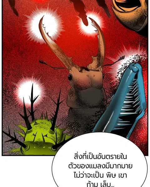 หน้า 86 จาก 181