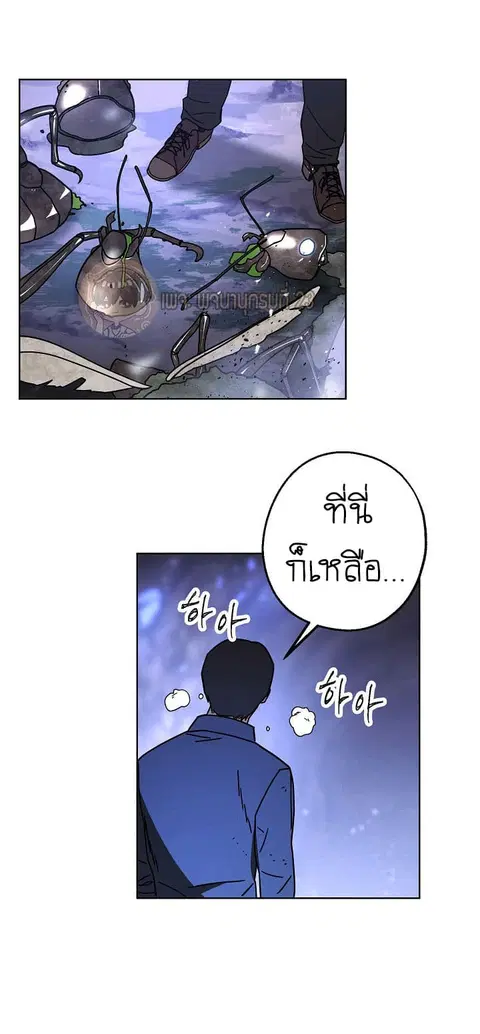 หน้า 51 จาก 65