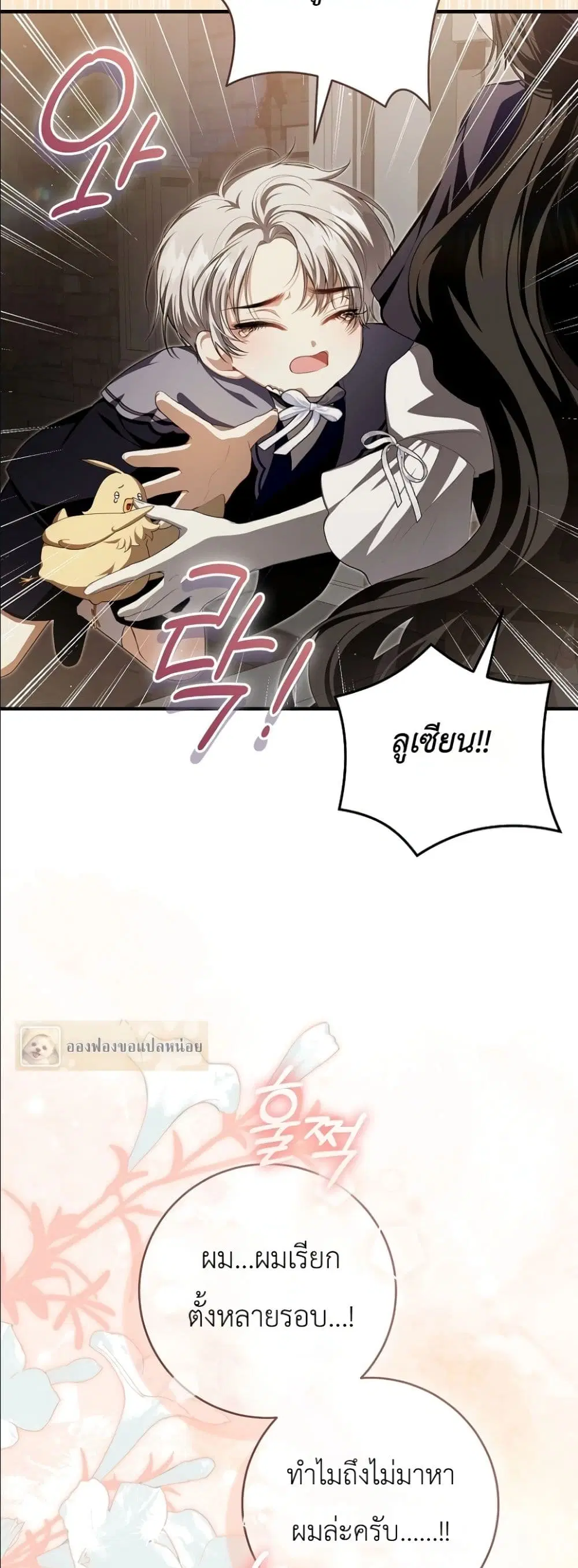 หน้า 41 จาก 62