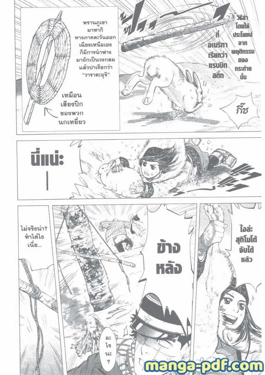 หน้า 13 จาก 17