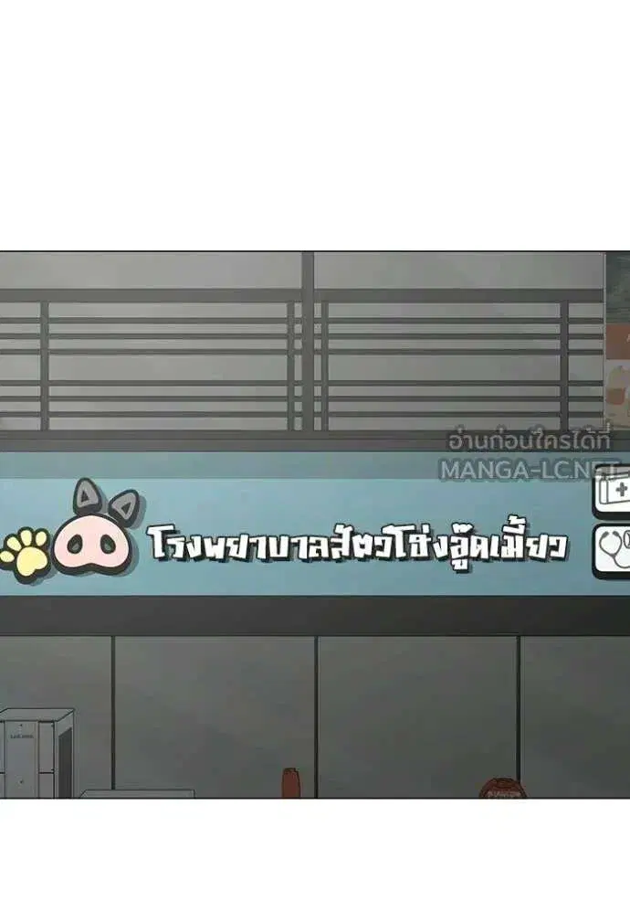 หน้า 107 จาก 247