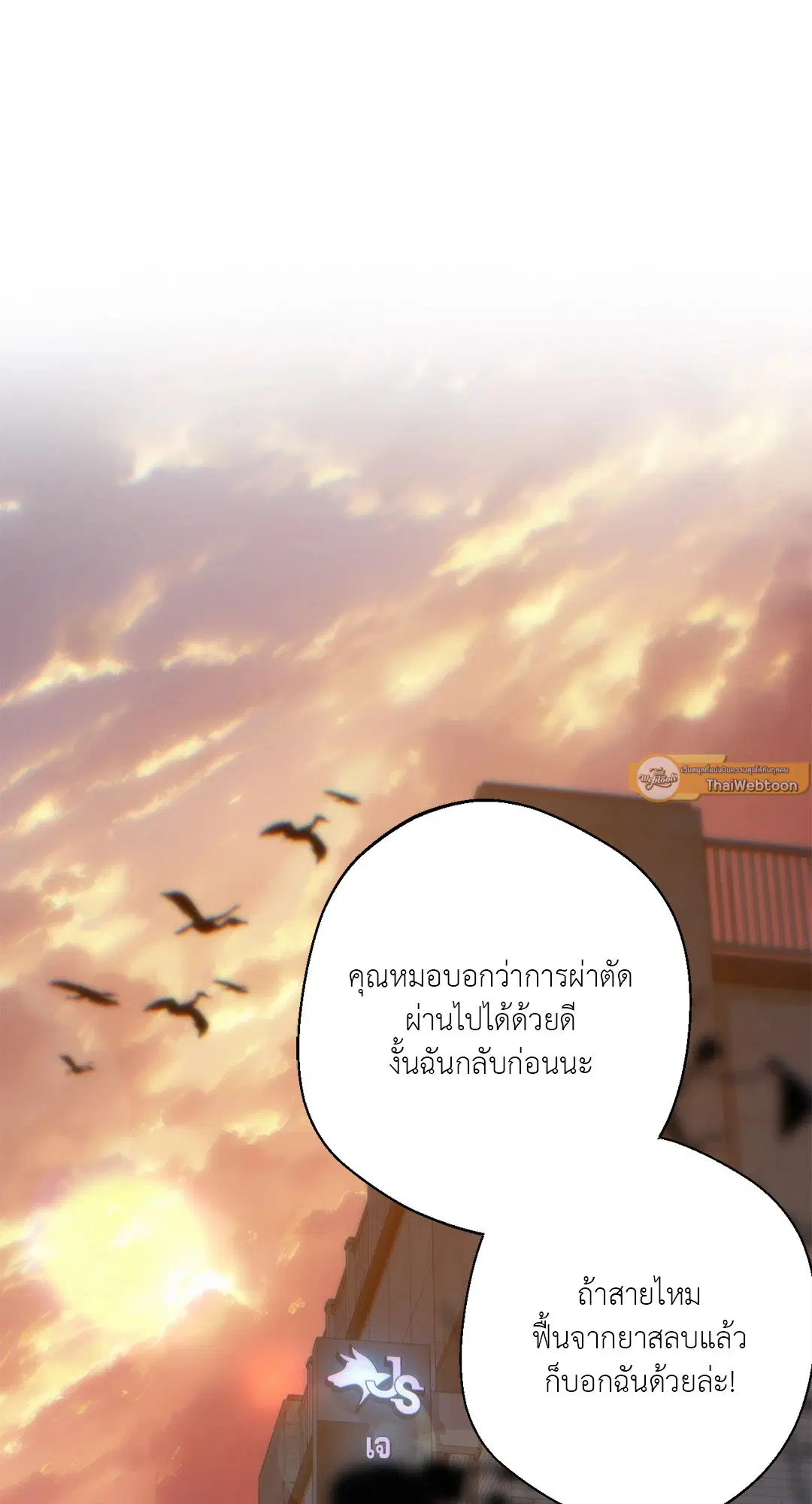 หน้า 26 จาก 82