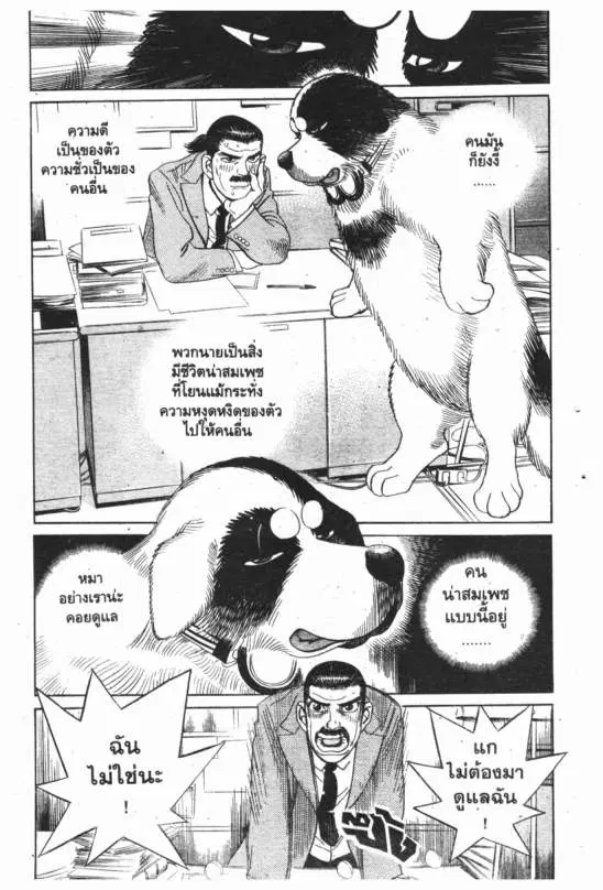 หน้า 6 จาก 24