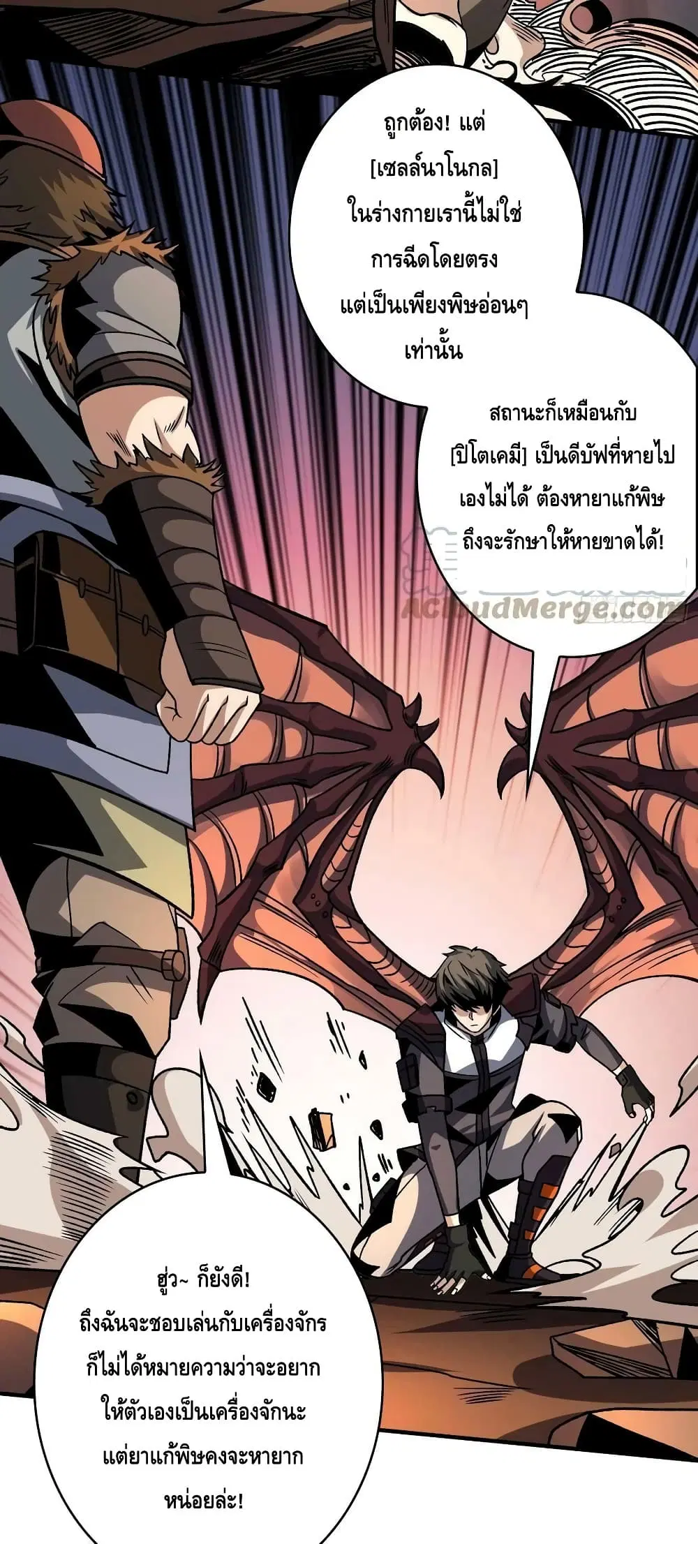 หน้า 12 จาก 42