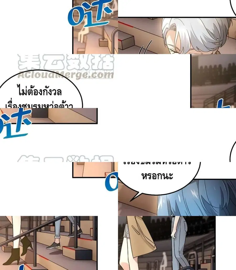 หน้า 3 จาก 13