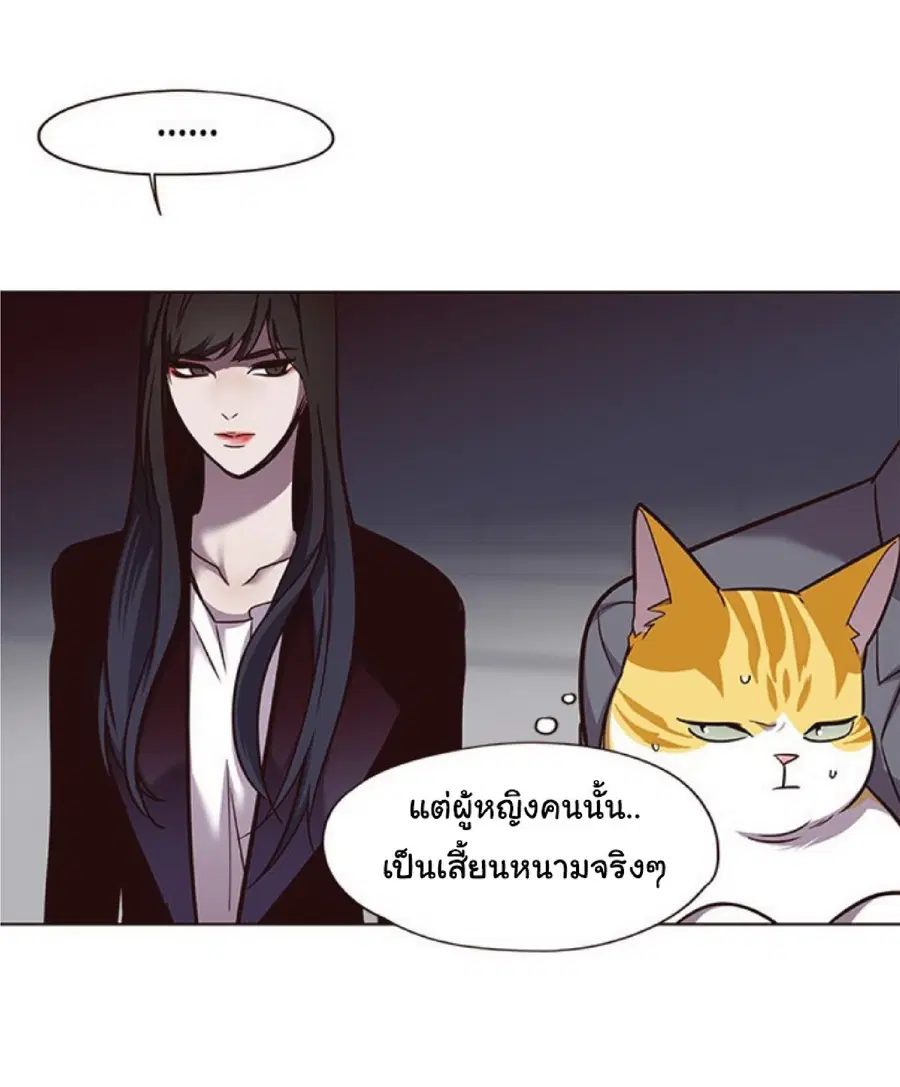 หน้า 41 จาก 85