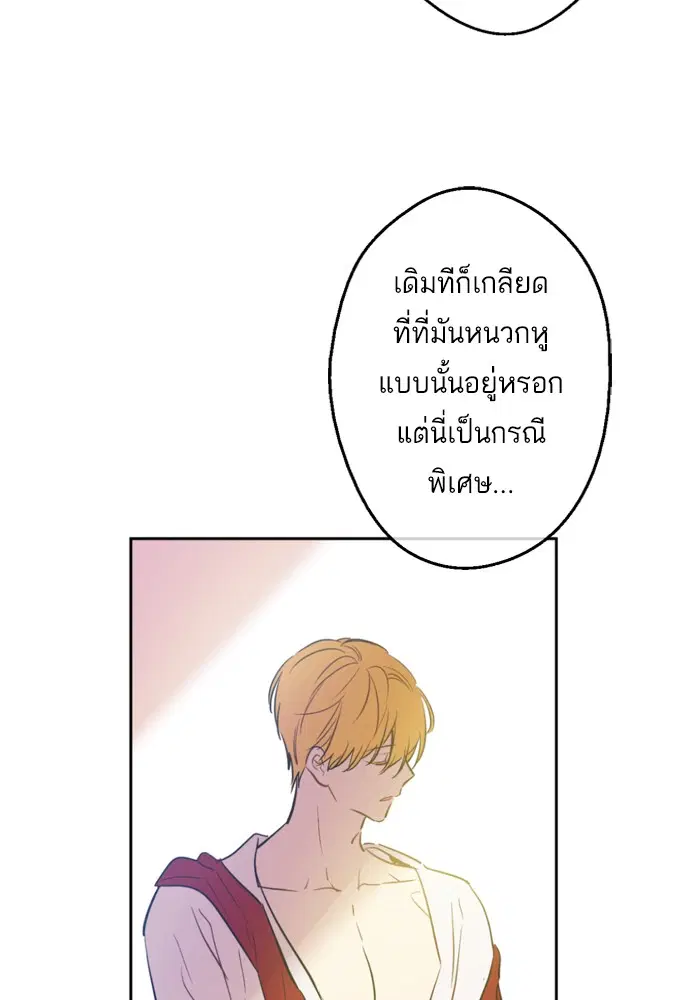 หน้า 51 จาก 82