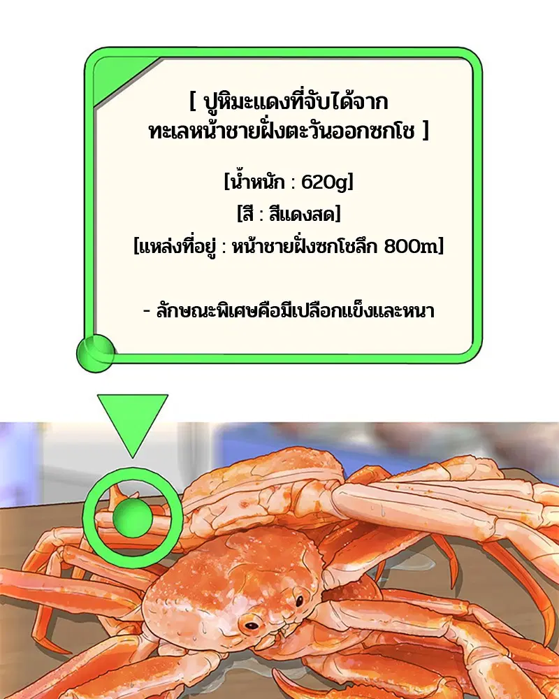หน้า 75 จาก 104