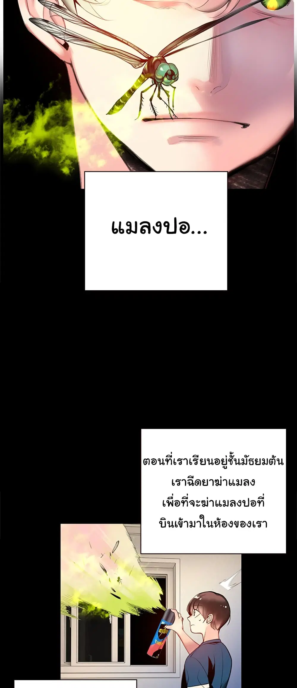 หน้า 4 จาก 41