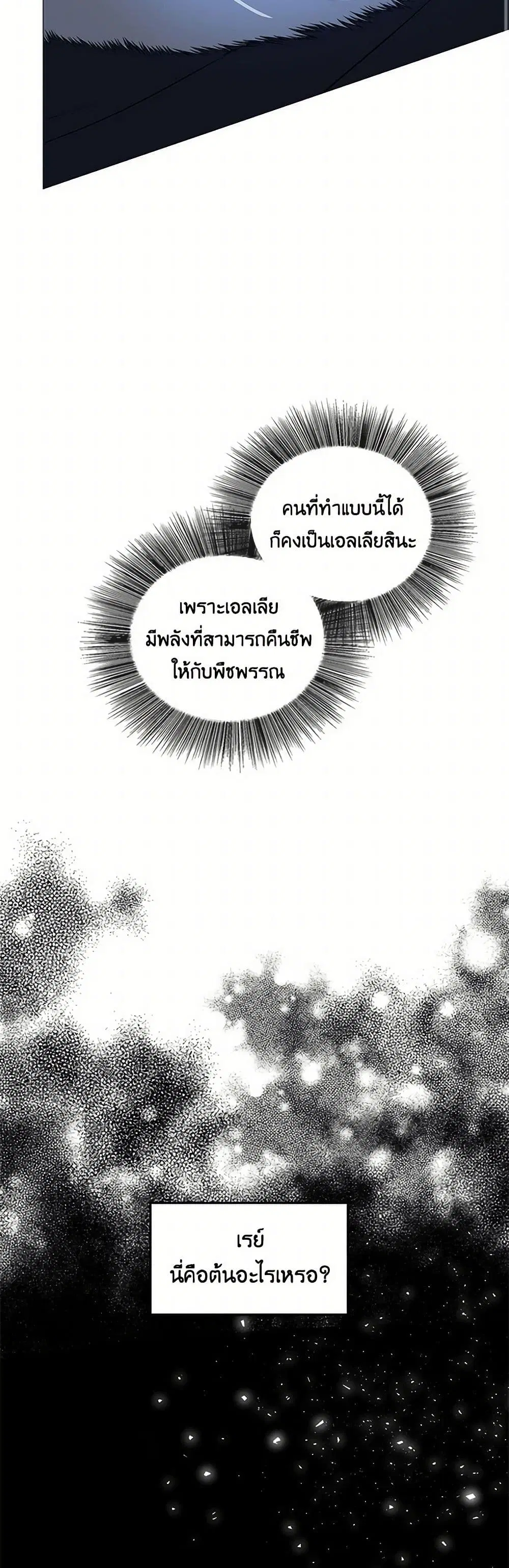 หน้า 19 จาก 40