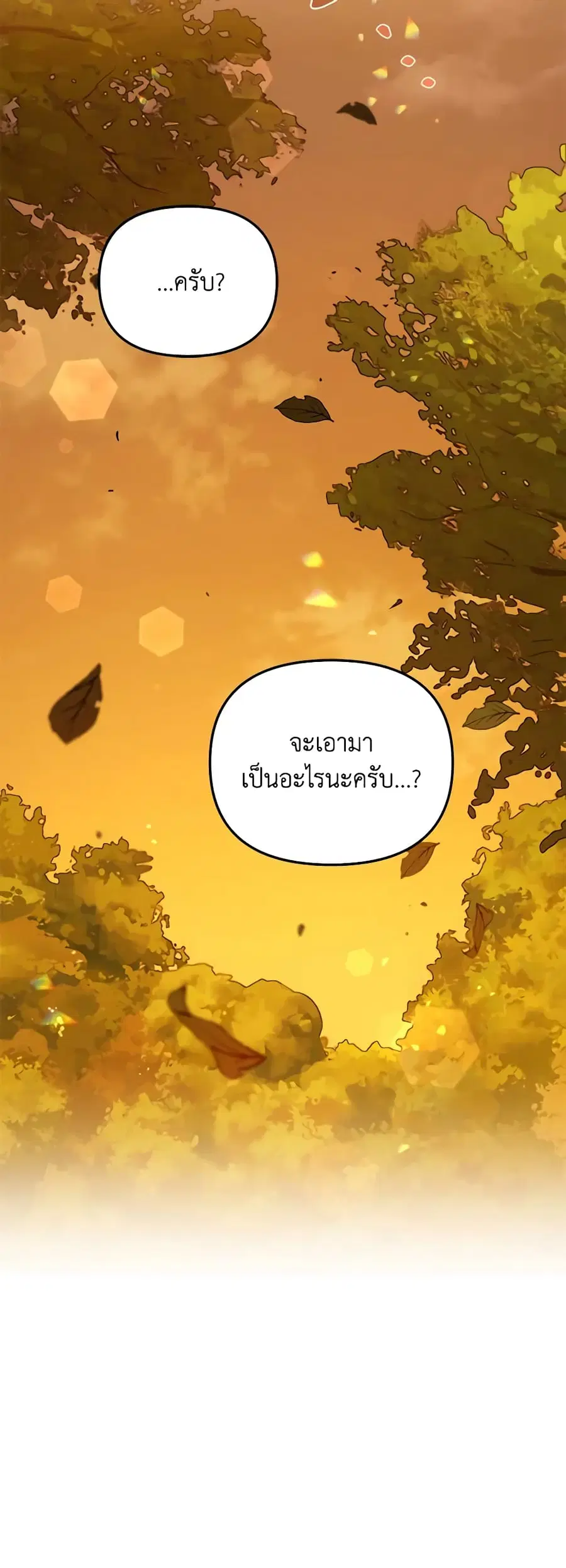 หน้า 50 จาก 51