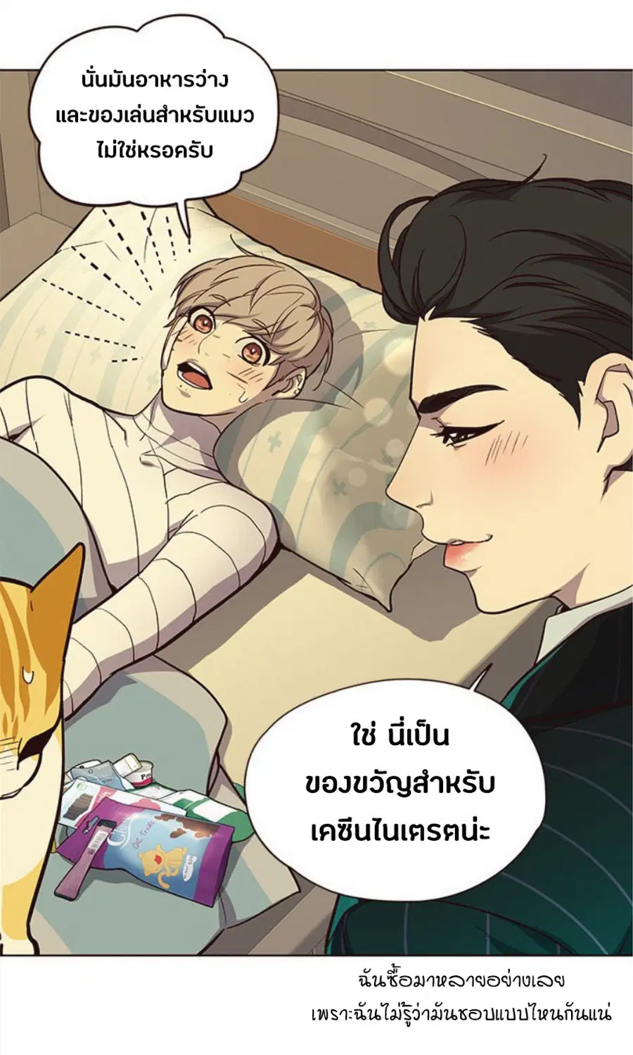 หน้า 38 จาก 90