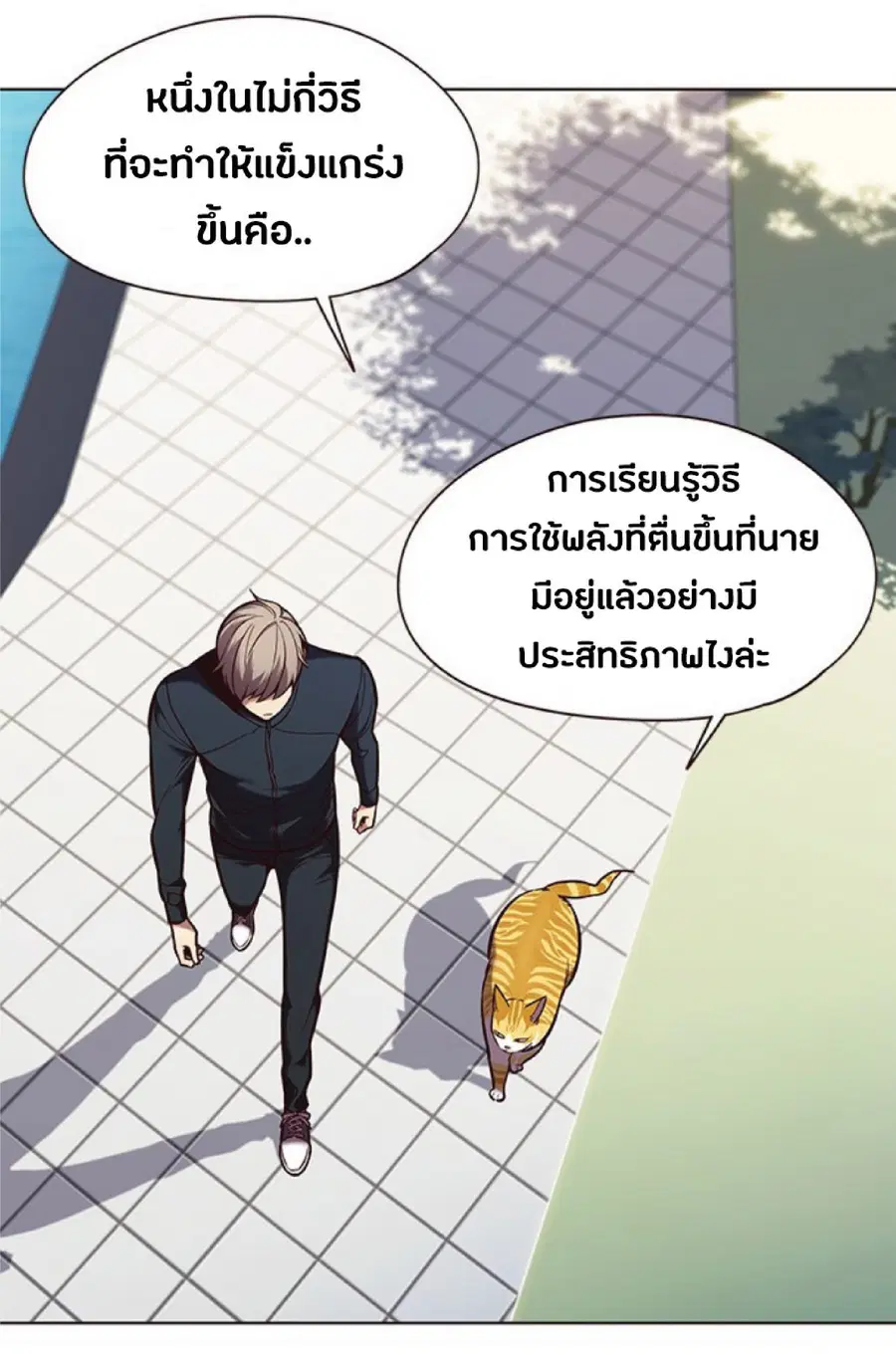 หน้า 3 จาก 85