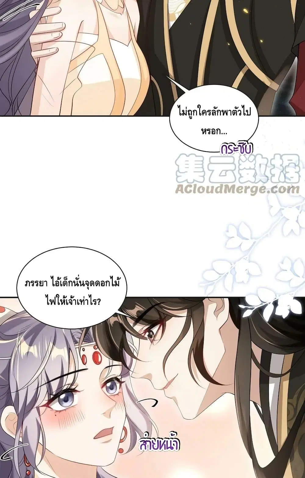 หน้า 10 จาก 42