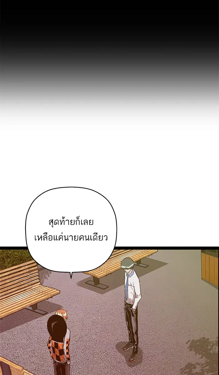 หน้า 26 จาก 120