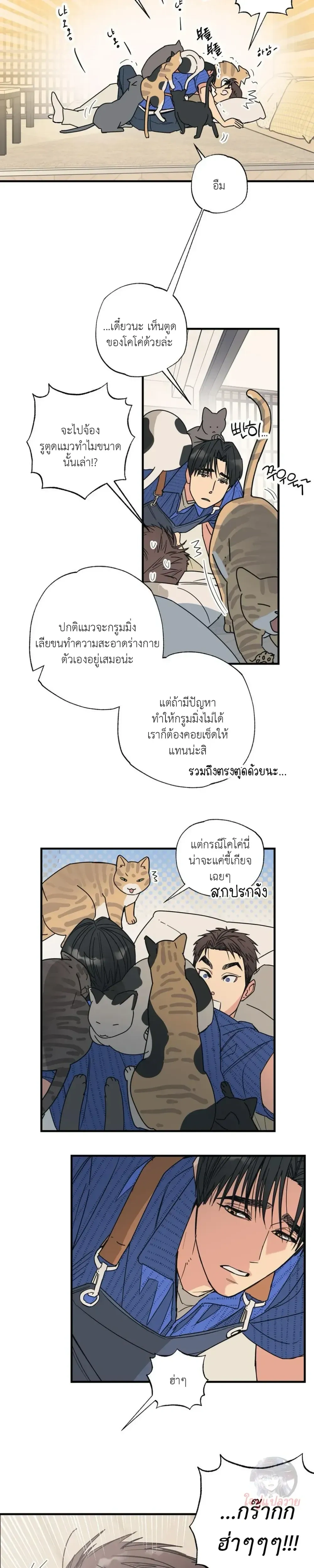 หน้า 16 จาก 19