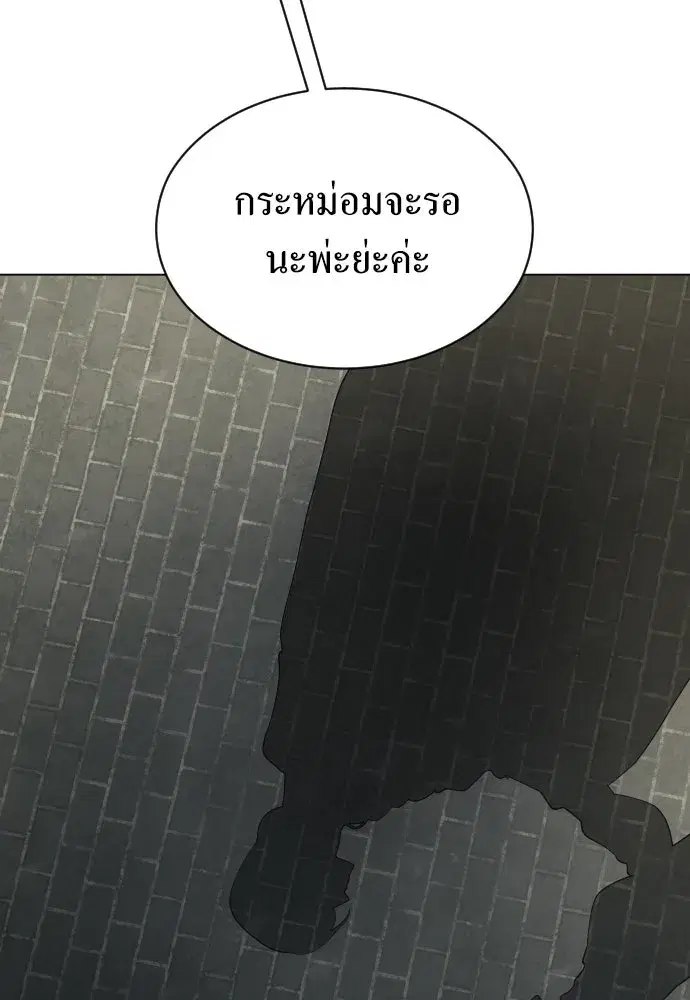 หน้า 37 จาก 146