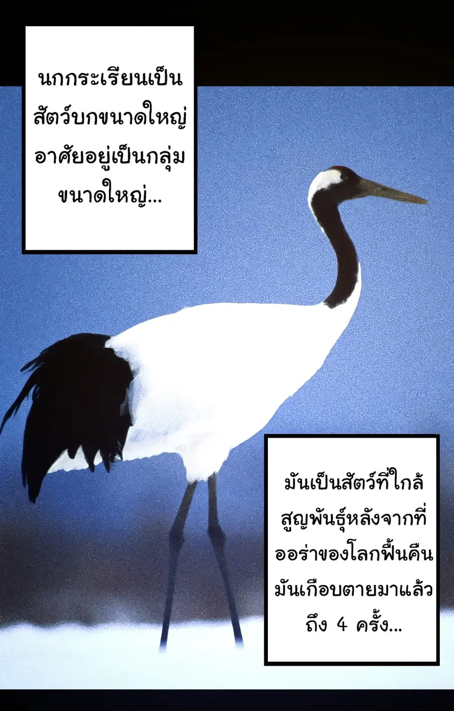 หน้า 34 จาก 49