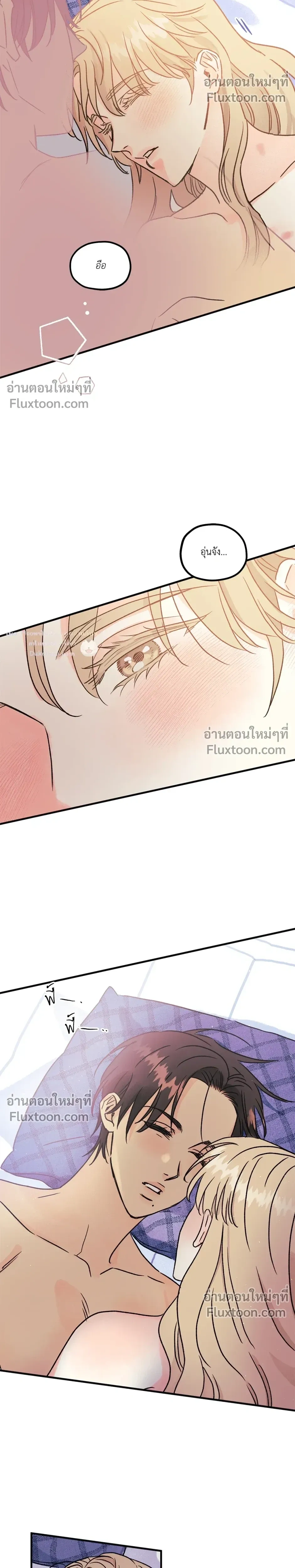 หน้า 14 จาก 22