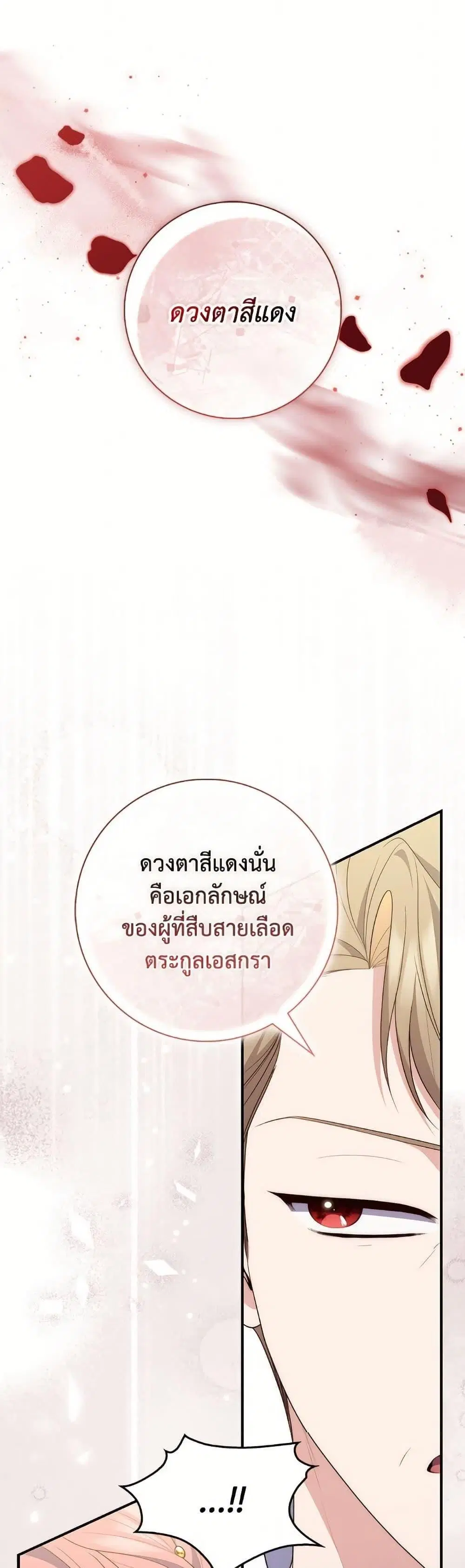 หน้า 25 จาก 50