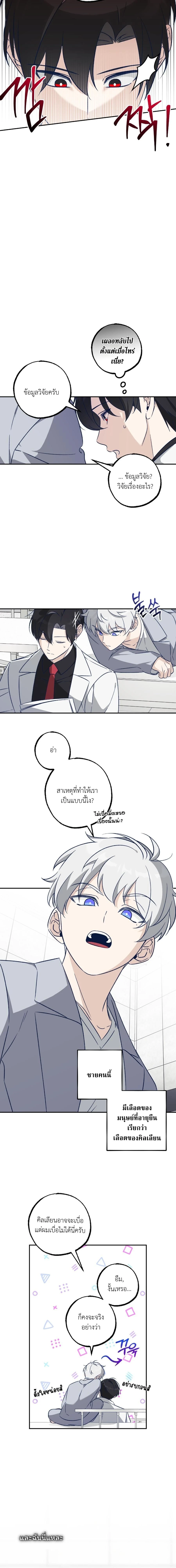 หน้า 6 จาก 17