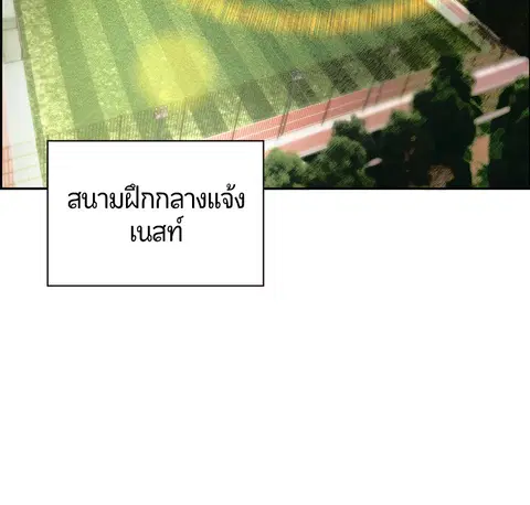 หน้า 31 จาก 146