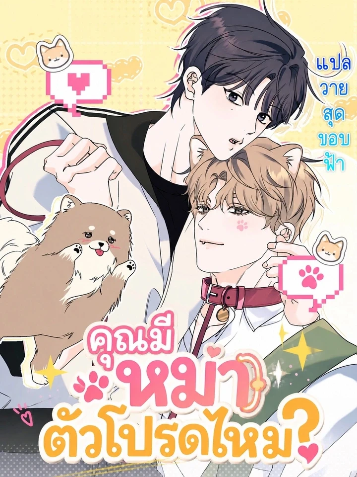 Do You Have a Favorite Dog? – คุณมีหมาตัวโปรดไหม?