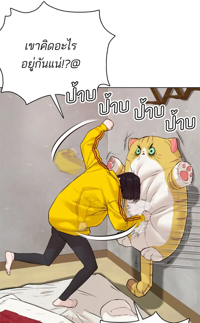 หน้า 126 จาก 149