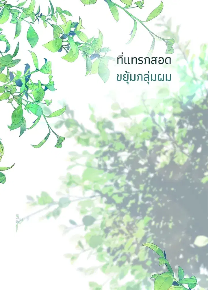 หน้า 50 จาก 133