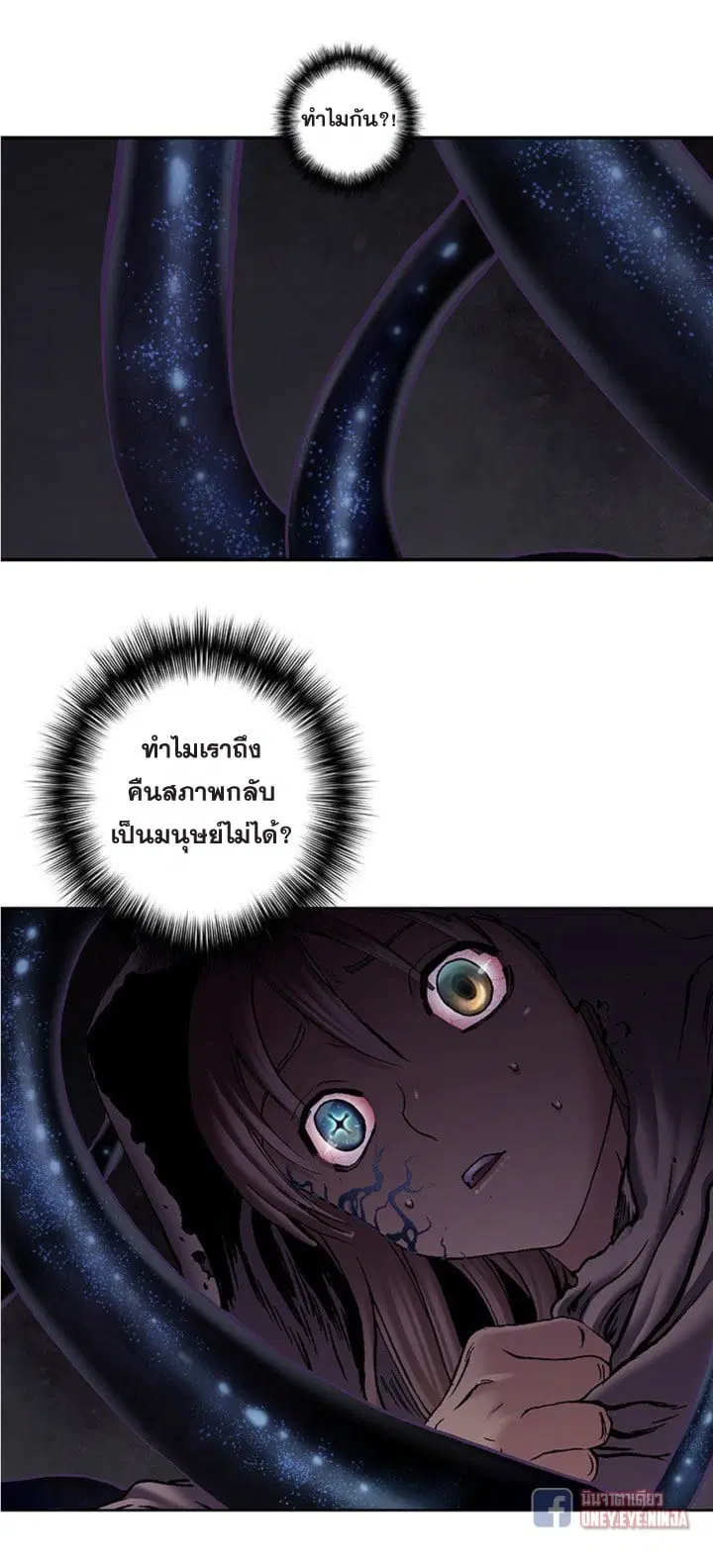 หน้า 8 จาก 40