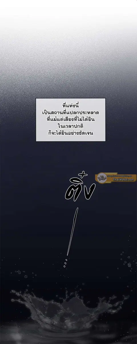 หน้า 33 จาก 52