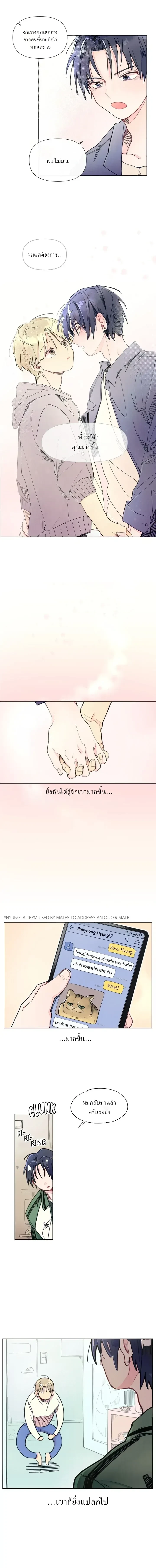 หน้า 3 จาก 11