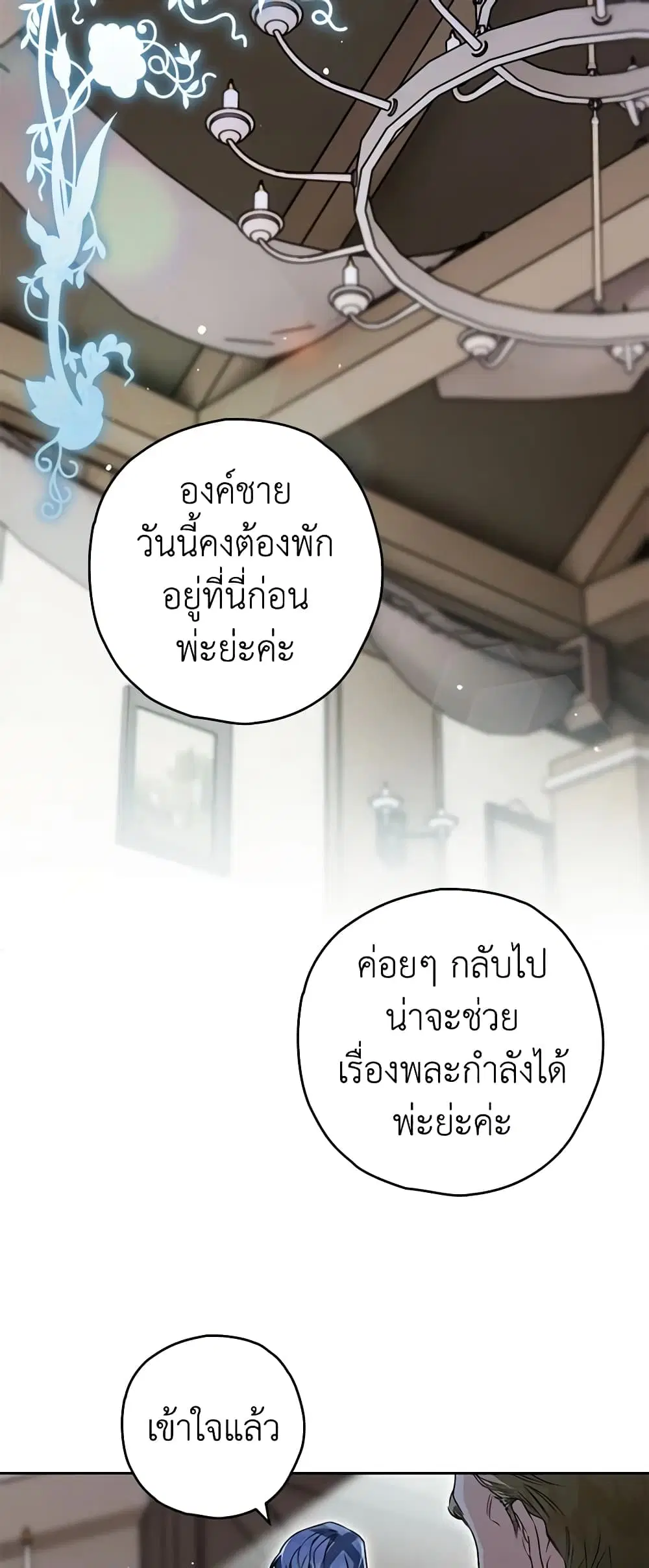 หน้า 24 จาก 49