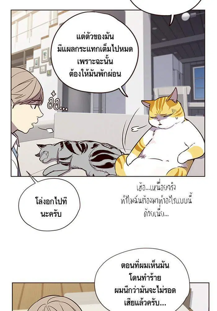 หน้า 6 จาก 85