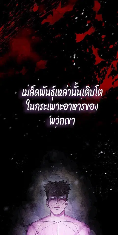 หน้า 8 จาก 75