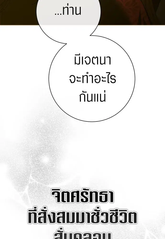 หน้า 13 จาก 155