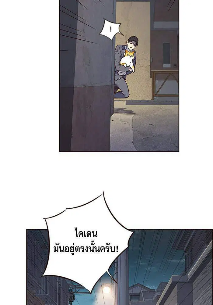 หน้า 34 จาก 127