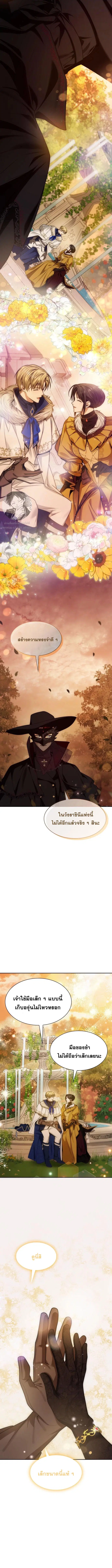 หน้า 11 จาก 21