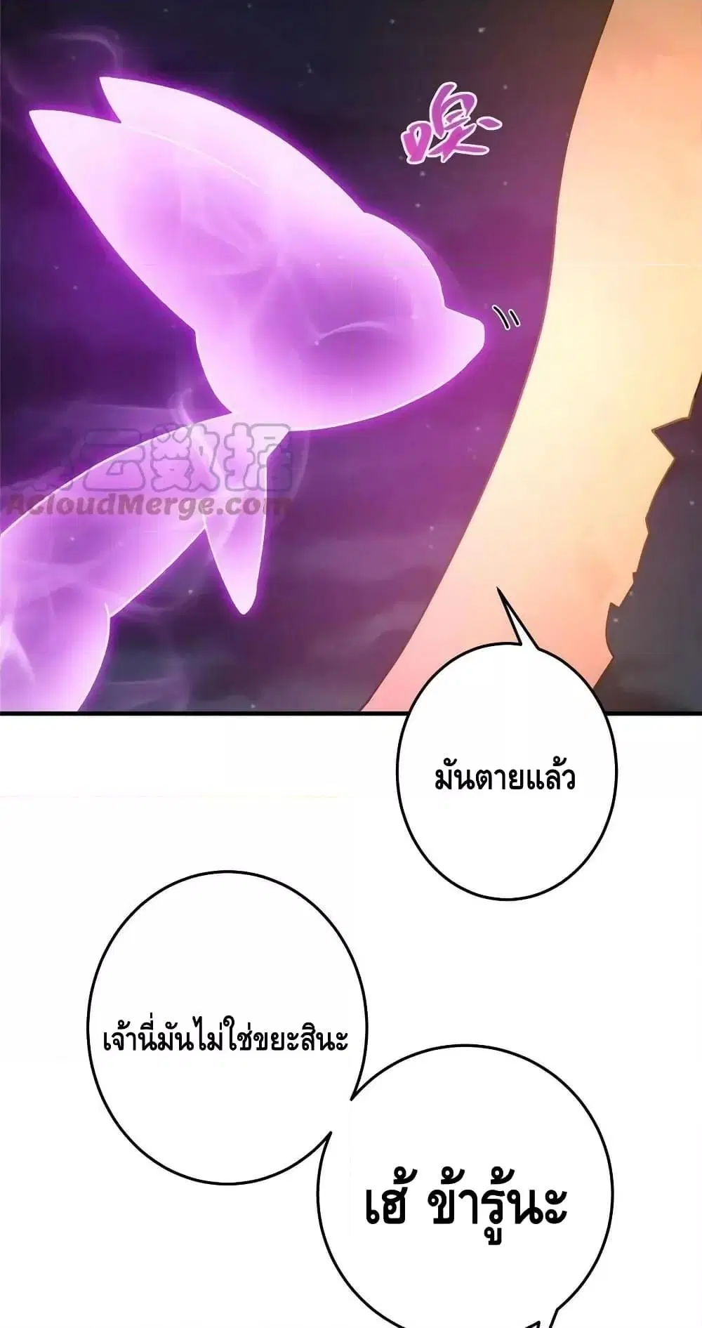 หน้า 10 จาก 42