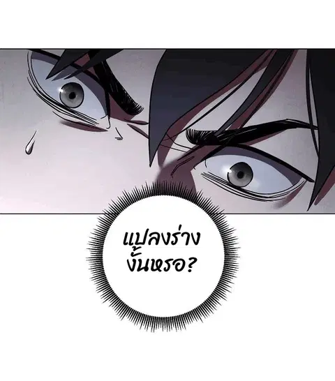 หน้า 39 จาก 74