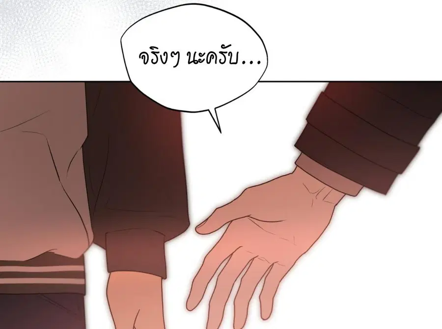 หน้า 118 จาก 248