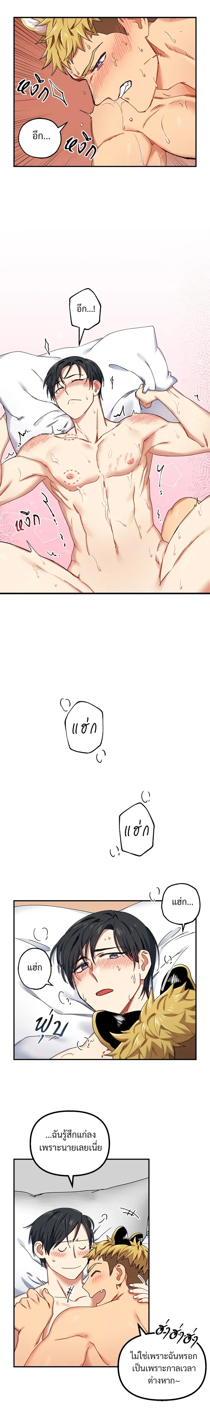 หน้า 11 จาก 16