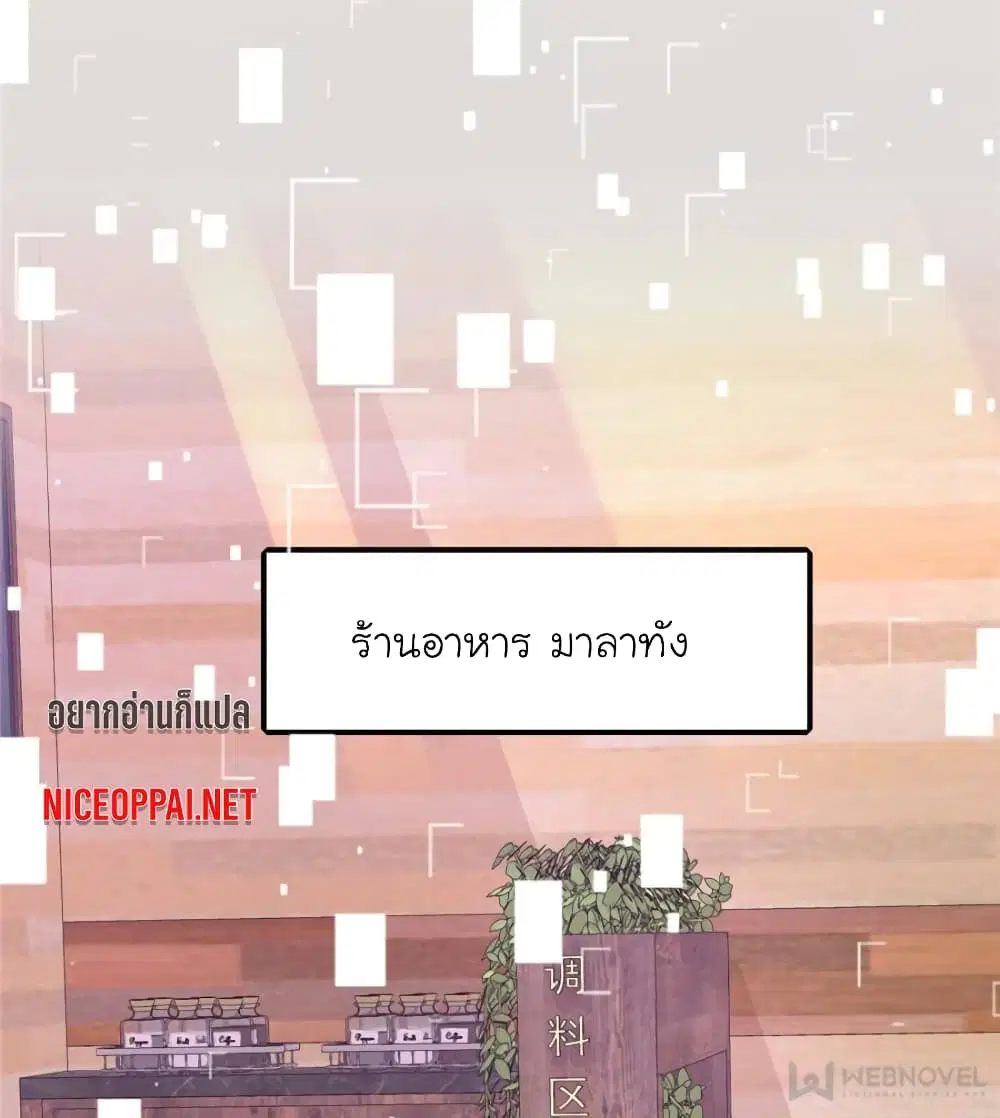 หน้า 36 จาก 73