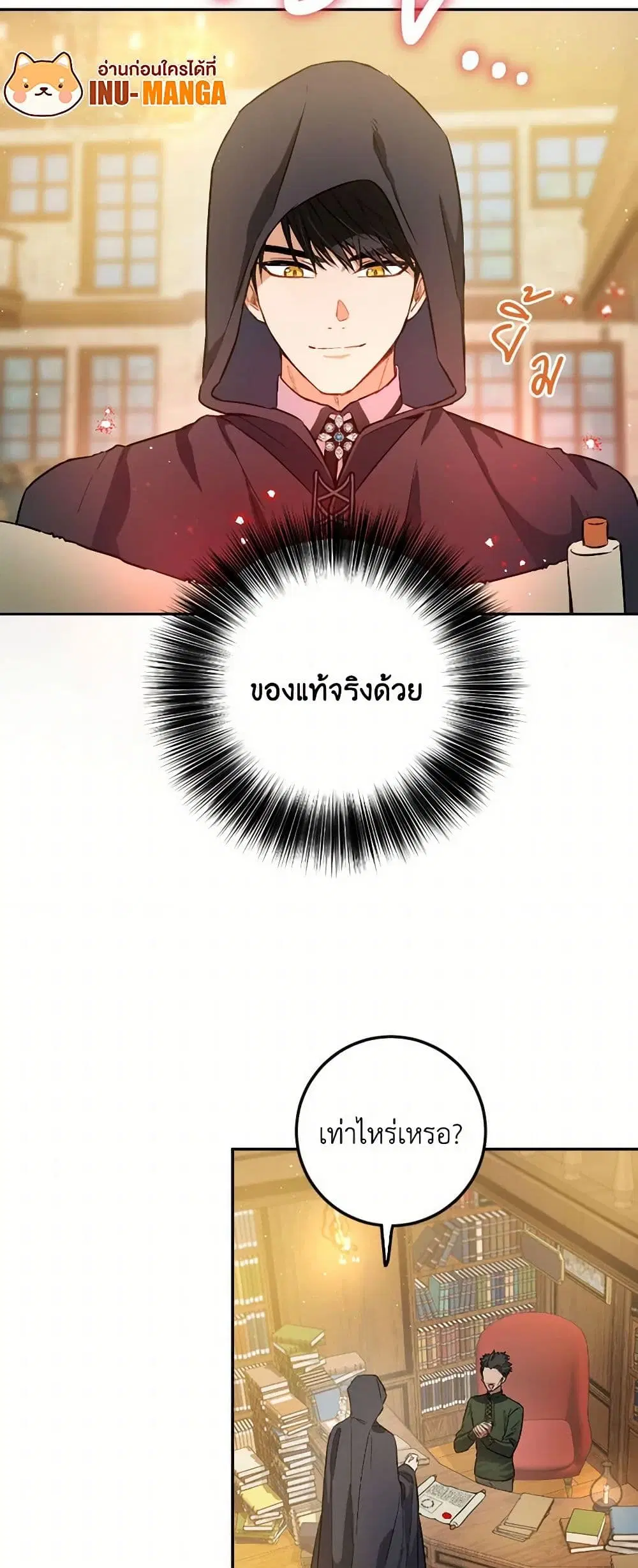 หน้า 13 จาก 44